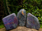 Polished Rare Purple Sunset Flash Labradorite Standing Free Forms x 3 From Madagascar - Toprock Gemstones and Minerals 