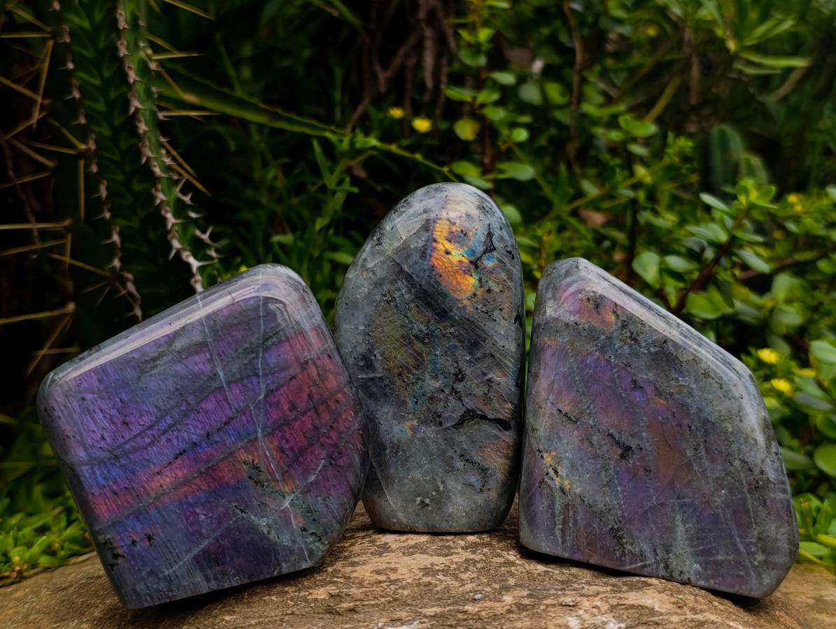 Polished Rare Purple Sunset Flash Labradorite Standing Free Forms x 3 From Madagascar - Toprock Gemstones and Minerals 