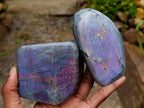 Polished Rare Purple Sunset Flash Labradorite Standing Free Forms x 3 From Madagascar - Toprock Gemstones and Minerals 