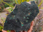 Natural Botryoidal Malachite Plate Specimens x 2 From Congo - Toprock Gemstones and Minerals 