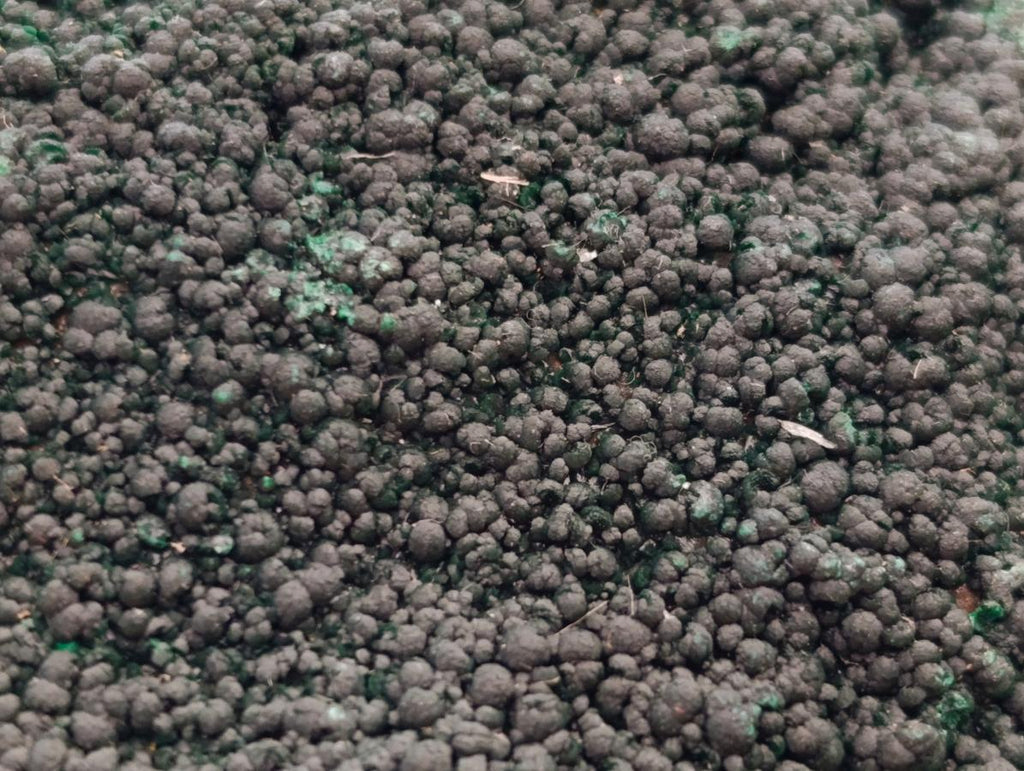 Natural Botryoidal Malachite Plate Specimens x 2 From Congo - Toprock Gemstones and Minerals 