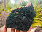 Natural Botryoidal Malachite Plate Specimens x 2 From Congo - Toprock Gemstones and Minerals 