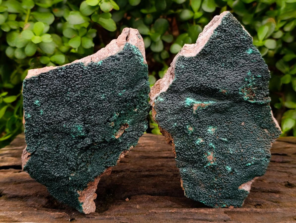 Natural Botryoidal Malachite Plate Specimens x 2 From Congo - Toprock Gemstones and Minerals 