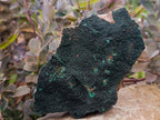 Natural Botryoidal Malachite Plate Specimens x 2 From Congo - Toprock Gemstones and Minerals 