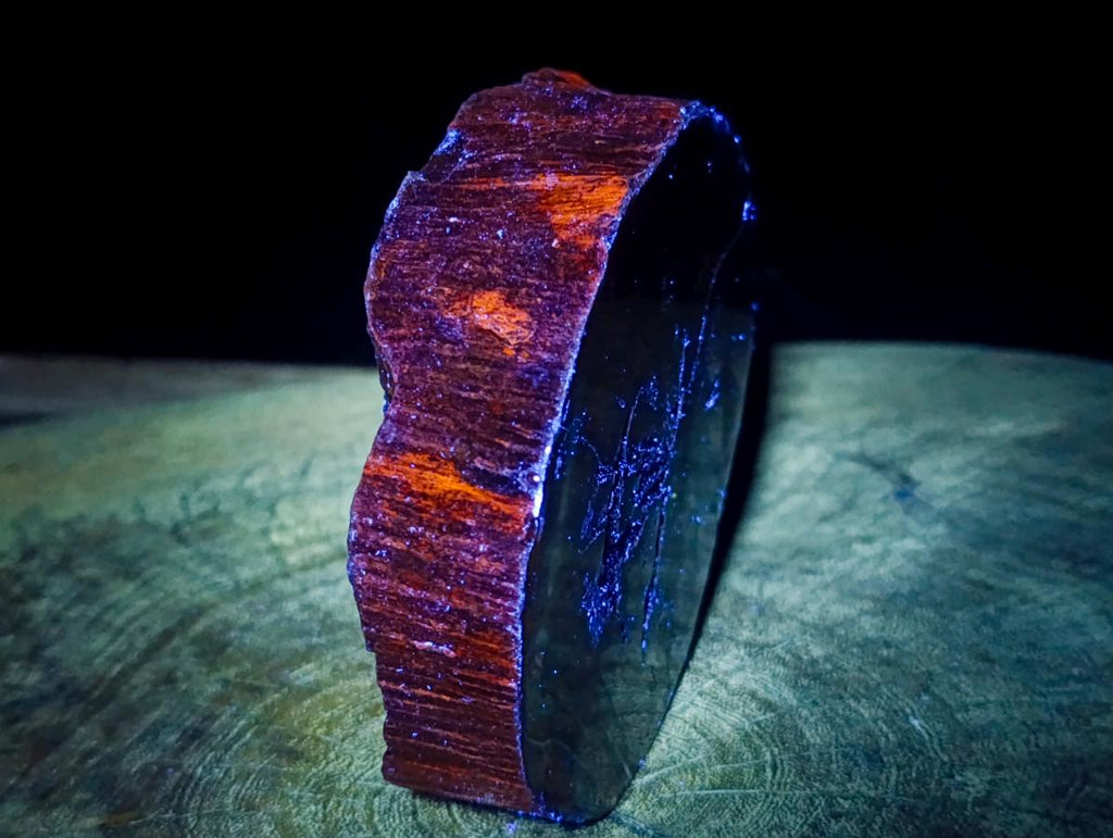 Polished Thick Dadoxylon Petrified Wood Slices x 2 From Gokwe, Zimbabwe - Toprock Gemstones and Minerals 