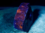 Polished Thick Dadoxylon Petrified Wood Slices x 2 From Gokwe, Zimbabwe - Toprock Gemstones and Minerals 