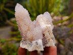 Natural Pale Lilac Amethyst Spirit Quartz Clusters x 6 From Boekenhouthoek, South Africa - Toprock Gemstones and Minerals 