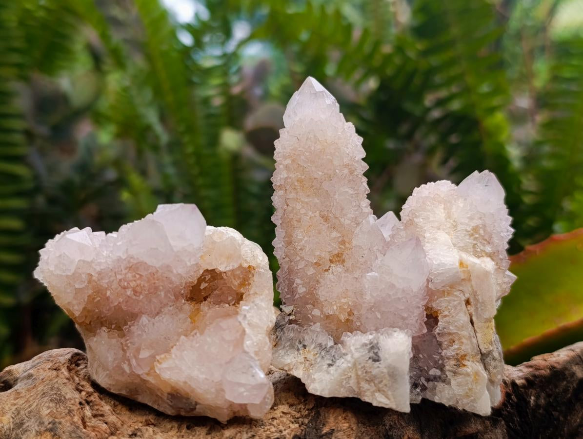 Natural Pale Lilac Amethyst Spirit Quartz Clusters x 6 From Boekenhouthoek, South Africa - Toprock Gemstones and Minerals 