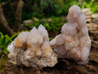 Natural Pale Lilac Amethyst Spirit Quartz Clusters x 6 From Boekenhouthoek, South Africa - Toprock Gemstones and Minerals 