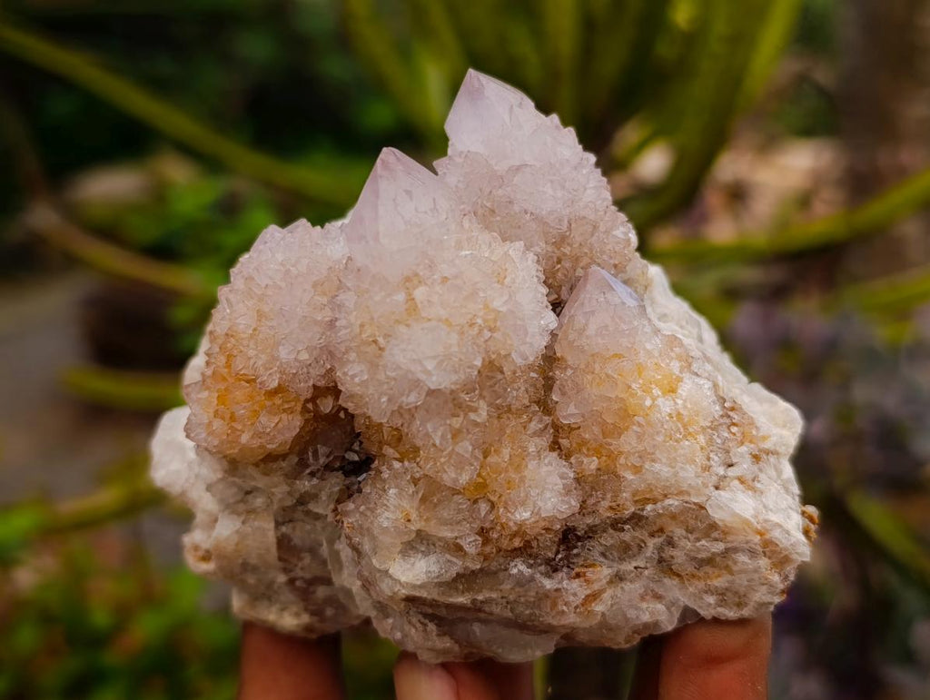 Natural Pale Lilac Amethyst Spirit Quartz Clusters x 6 From Boekenhouthoek, South Africa - Toprock Gemstones and Minerals 
