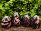 Polished Rhodonite Standing Free Forms x 4 From Ambindavato, Madagascar - Toprock Gemstones and Minerals 