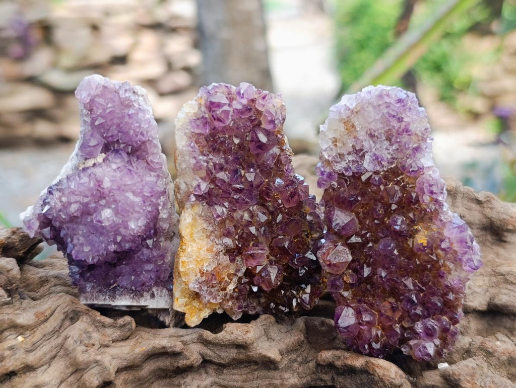 Natural Dark Purple Amethyst Quartz Crystal Plates x 35 From Boekenhouthoek, South Africa - Toprock Gemstones and Minerals 