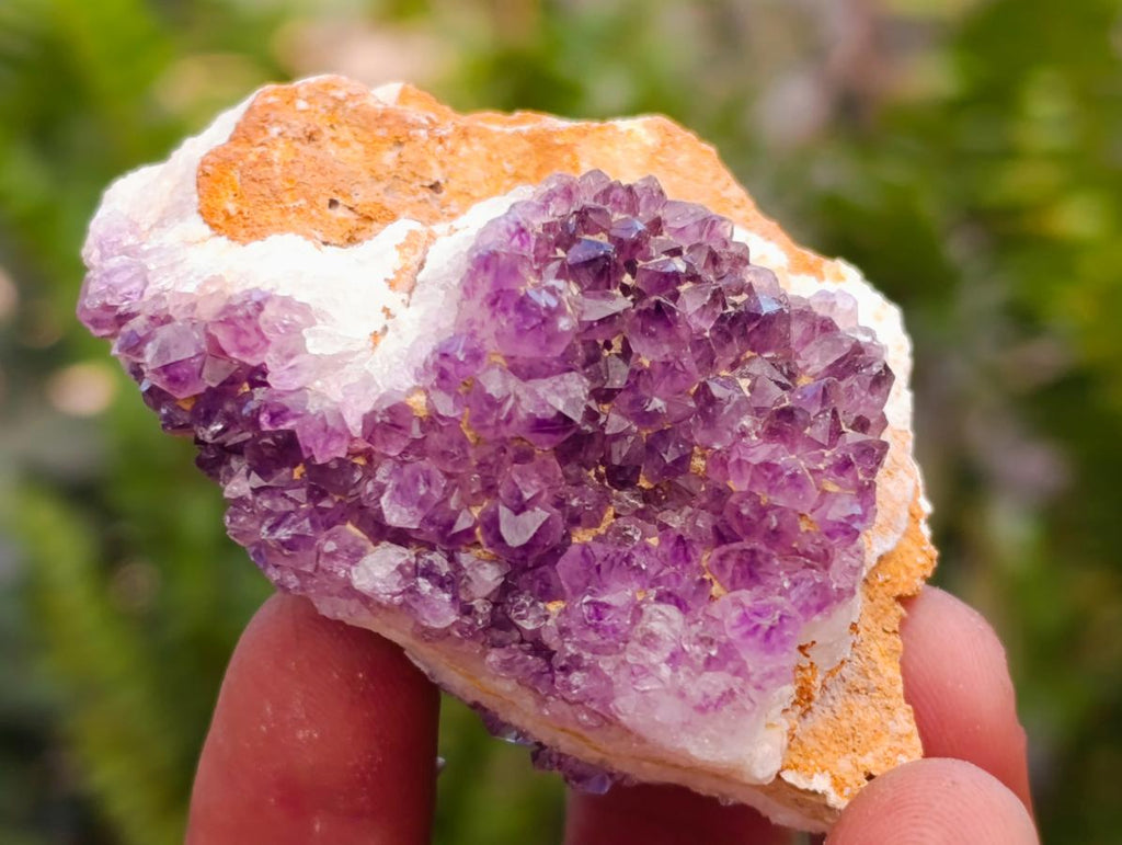 Natural Dark Purple Amethyst Quartz Crystal Plates x 35 From Boekenhouthoek, South Africa - Toprock Gemstones and Minerals 