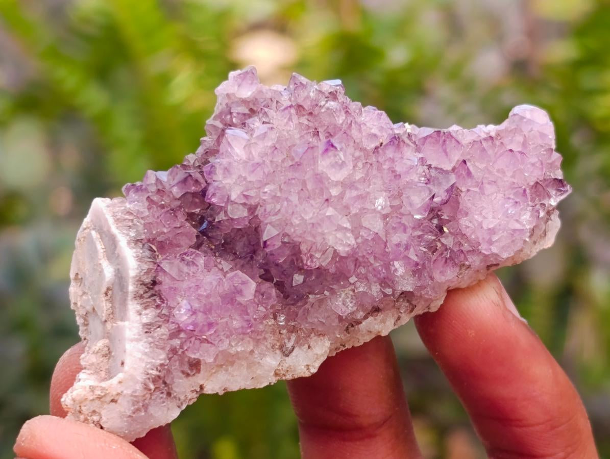 Natural Dark Purple Amethyst Quartz Crystal Plates x 35 From Boekenhouthoek, South Africa - Toprock Gemstones and Minerals 