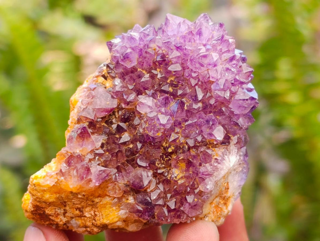 Natural Dark Purple Amethyst Quartz Crystal Plates x 35 From Boekenhouthoek, South Africa - Toprock Gemstones and Minerals 