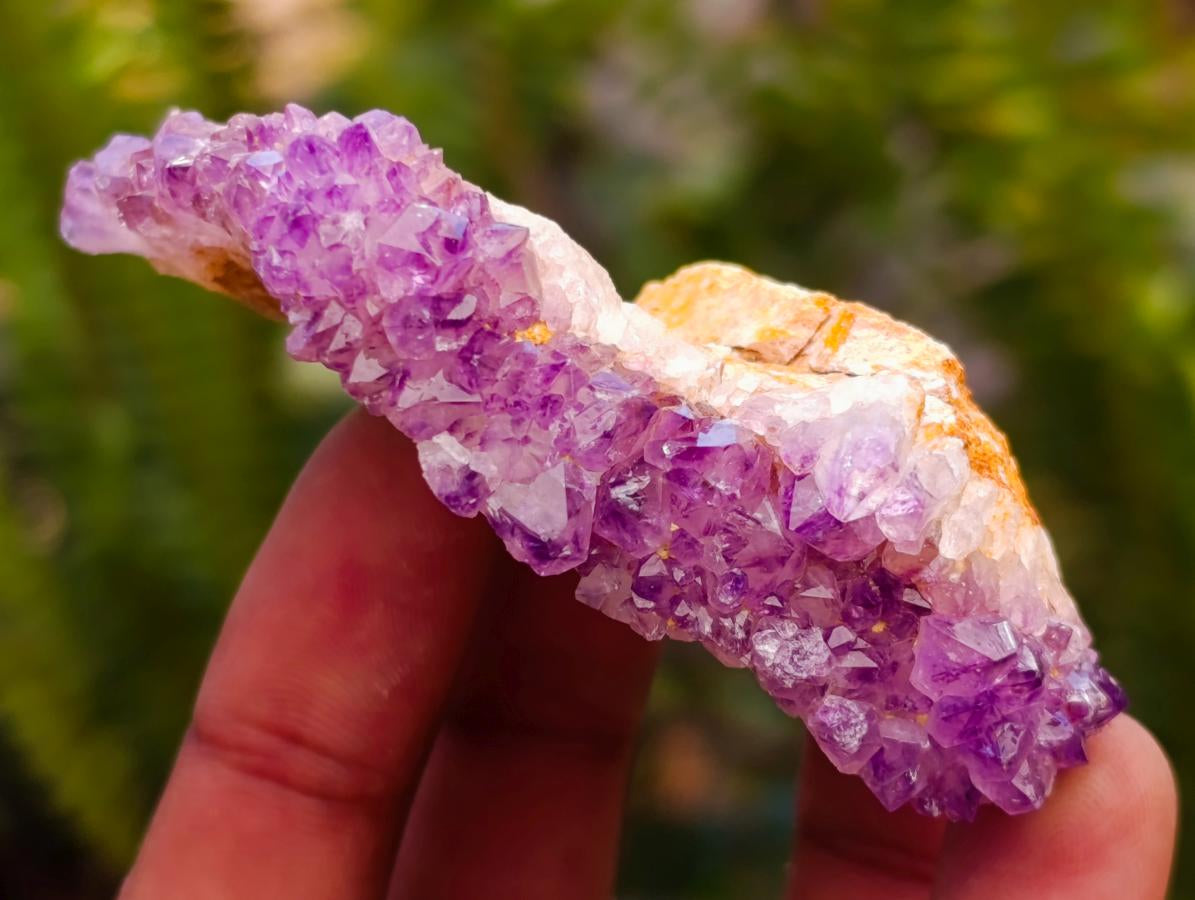 Natural Dark Purple Amethyst Quartz Crystal Plates x 35 From Boekenhouthoek, South Africa - Toprock Gemstones and Minerals 