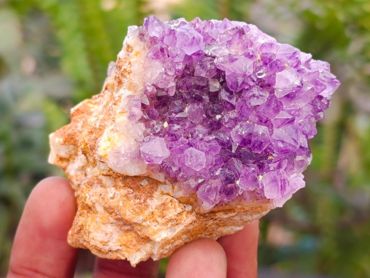 Natural Dark Purple Amethyst Quartz Crystal Plates x 35 From Boekenhouthoek, South Africa - Toprock Gemstones and Minerals 