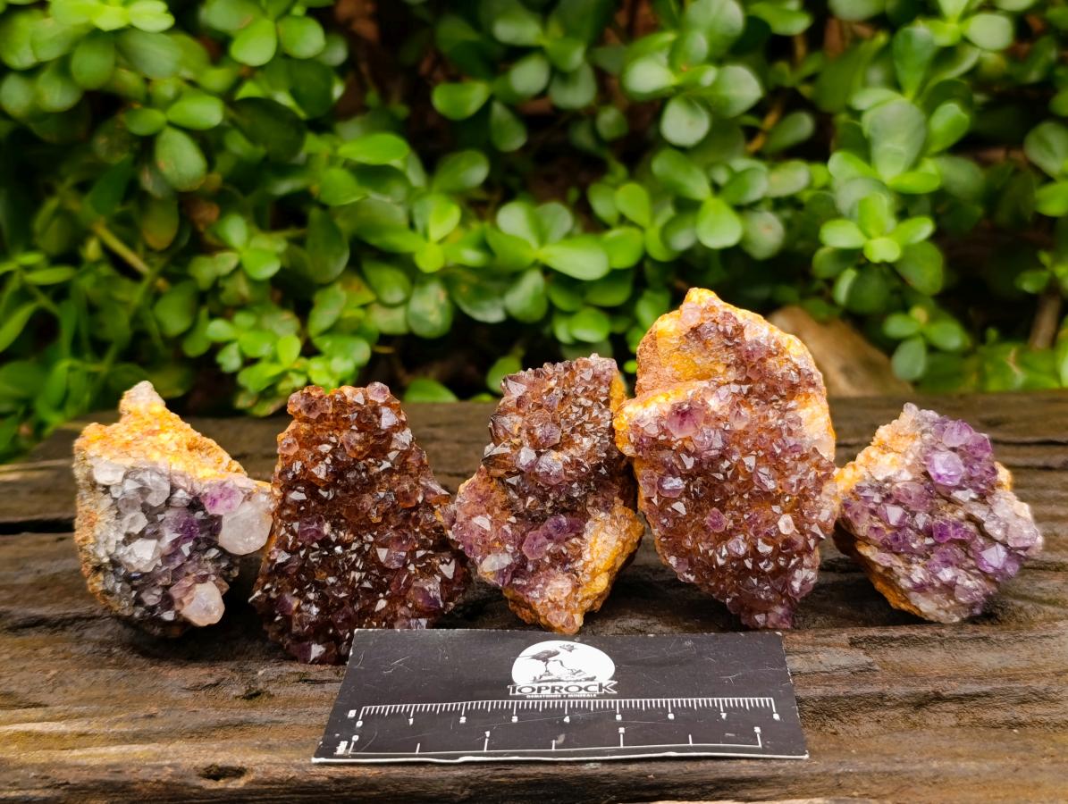 Natural Dark Purple Amethyst Quartz Crystal Plates x 35 From Boekenhouthoek, South Africa - Toprock Gemstones and Minerals 