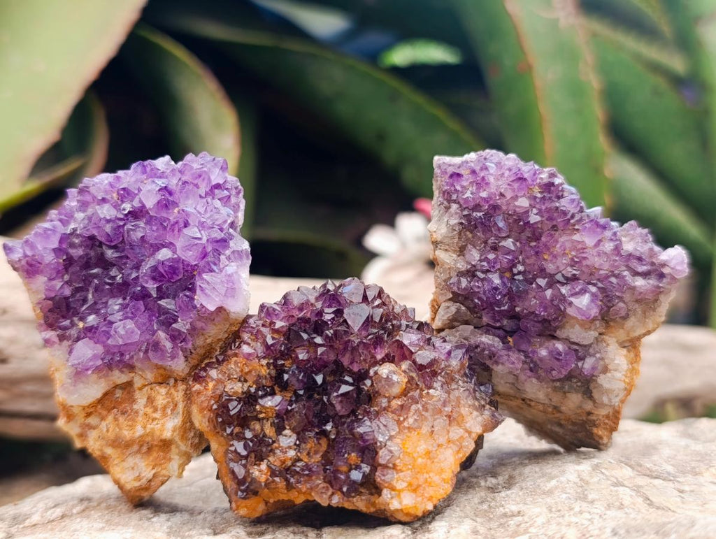 Natural Dark Purple Amethyst Quartz Crystal Plates x 35 From Boekenhouthoek, South Africa - Toprock Gemstones and Minerals 