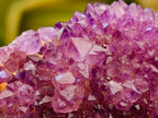 Natural Dark Purple Amethyst Quartz Crystal Plates x 35 From Boekenhouthoek, South Africa - Toprock Gemstones and Minerals 