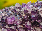 Natural Dark Purple Amethyst Quartz Crystal Plates x 35 From Boekenhouthoek, South Africa - Toprock Gemstones and Minerals 