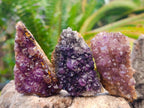 Natural Dark Purple Amethyst Quartz Crystal Plates x 35 From Boekenhouthoek, South Africa - Toprock Gemstones and Minerals 