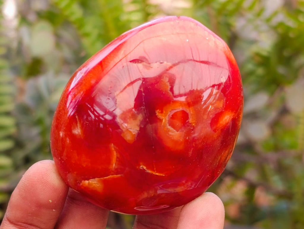 Polished Carnelian Agate Gemstone Palmstones x 12 From Madagascar - Toprock Gemstones and Minerals 