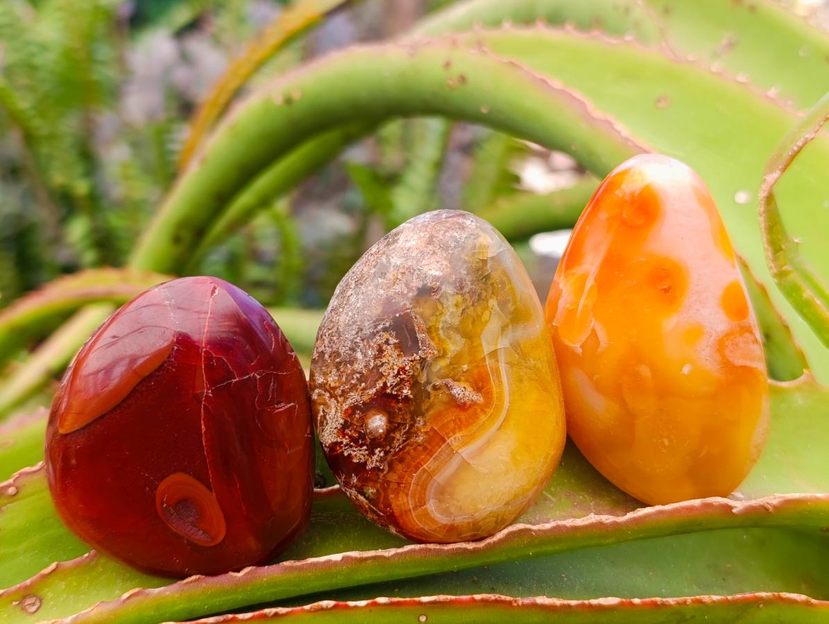 Polished Carnelian Agate Gemstone Palmstones x 12 From Madagascar - Toprock Gemstones and Minerals 