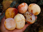 Polished Carnelian Agate Gemstone Palmstones x 12 From Madagascar - Toprock Gemstones and Minerals 