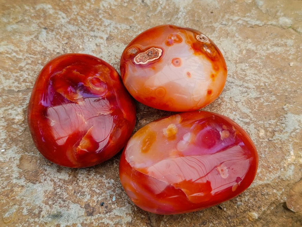 Polished Carnelian Agate Gemstone Palmstones x 12 From Madagascar - Toprock Gemstones and Minerals 