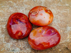 Polished Carnelian Agate Gemstone Palmstones x 12 From Madagascar - Toprock Gemstones and Minerals 