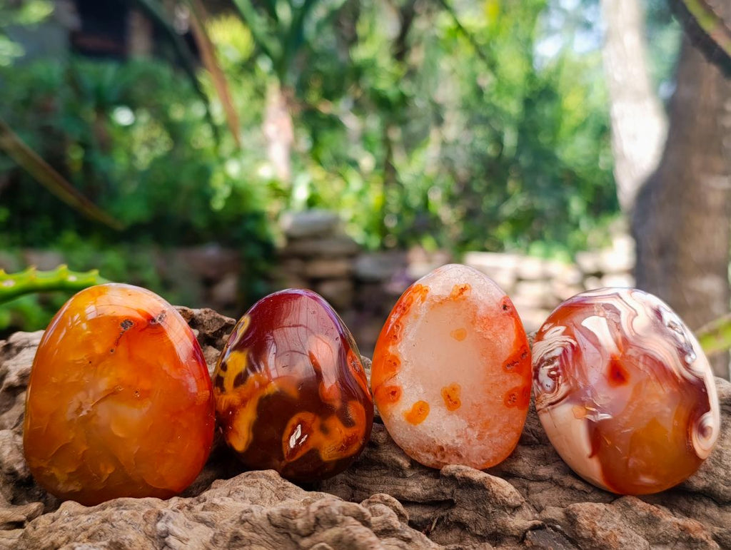 Polished Carnelian Agate Gemstone Palmstones x 12 From Madagascar - Toprock Gemstones and Minerals 