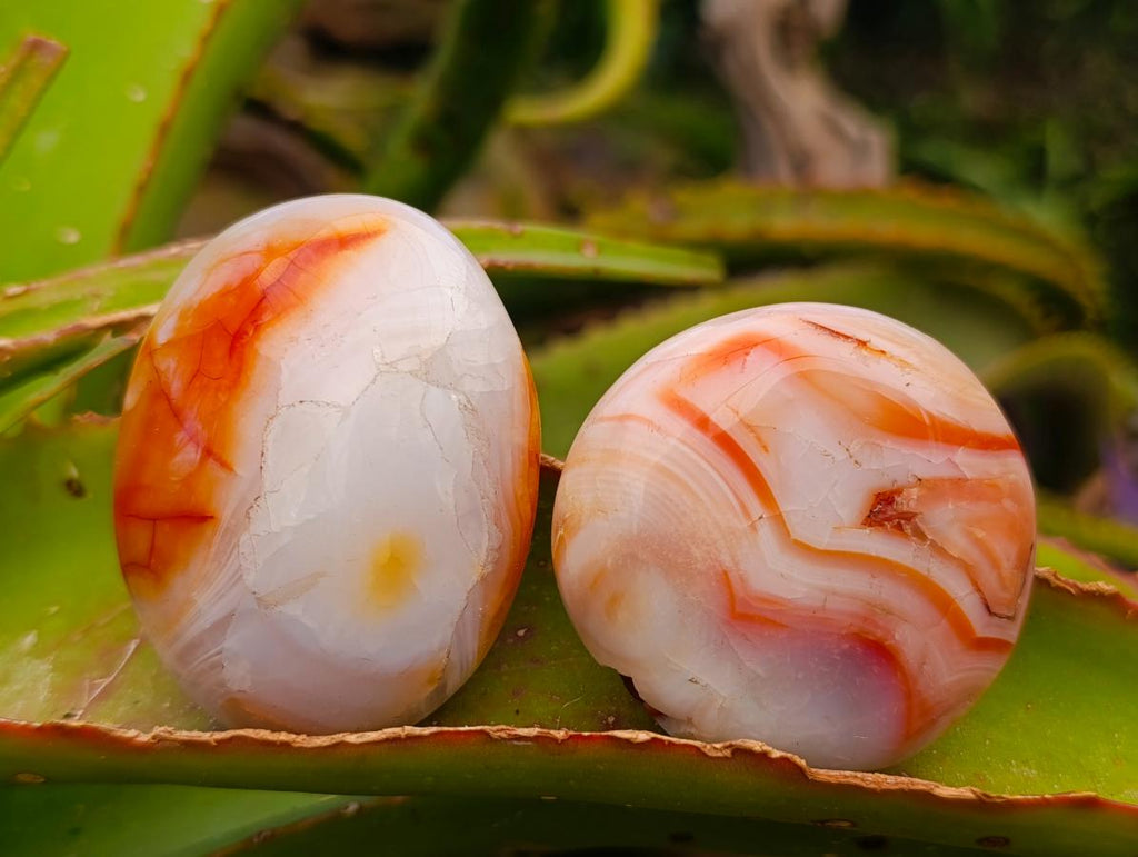 Polished Carnelian Agate Gemstone Palmstones x 12 From Madagascar - Toprock Gemstones and Minerals 