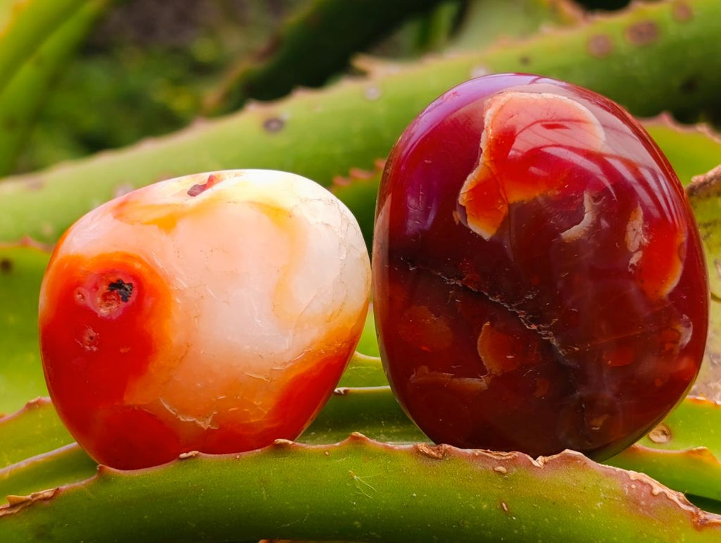 Polished Carnelian Agate Gemstone Palmstones x 12 From Madagascar - Toprock Gemstones and Minerals 
