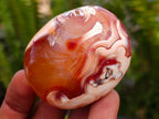 Polished Carnelian Agate Gemstone Palmstones x 12 From Madagascar - Toprock Gemstones and Minerals 