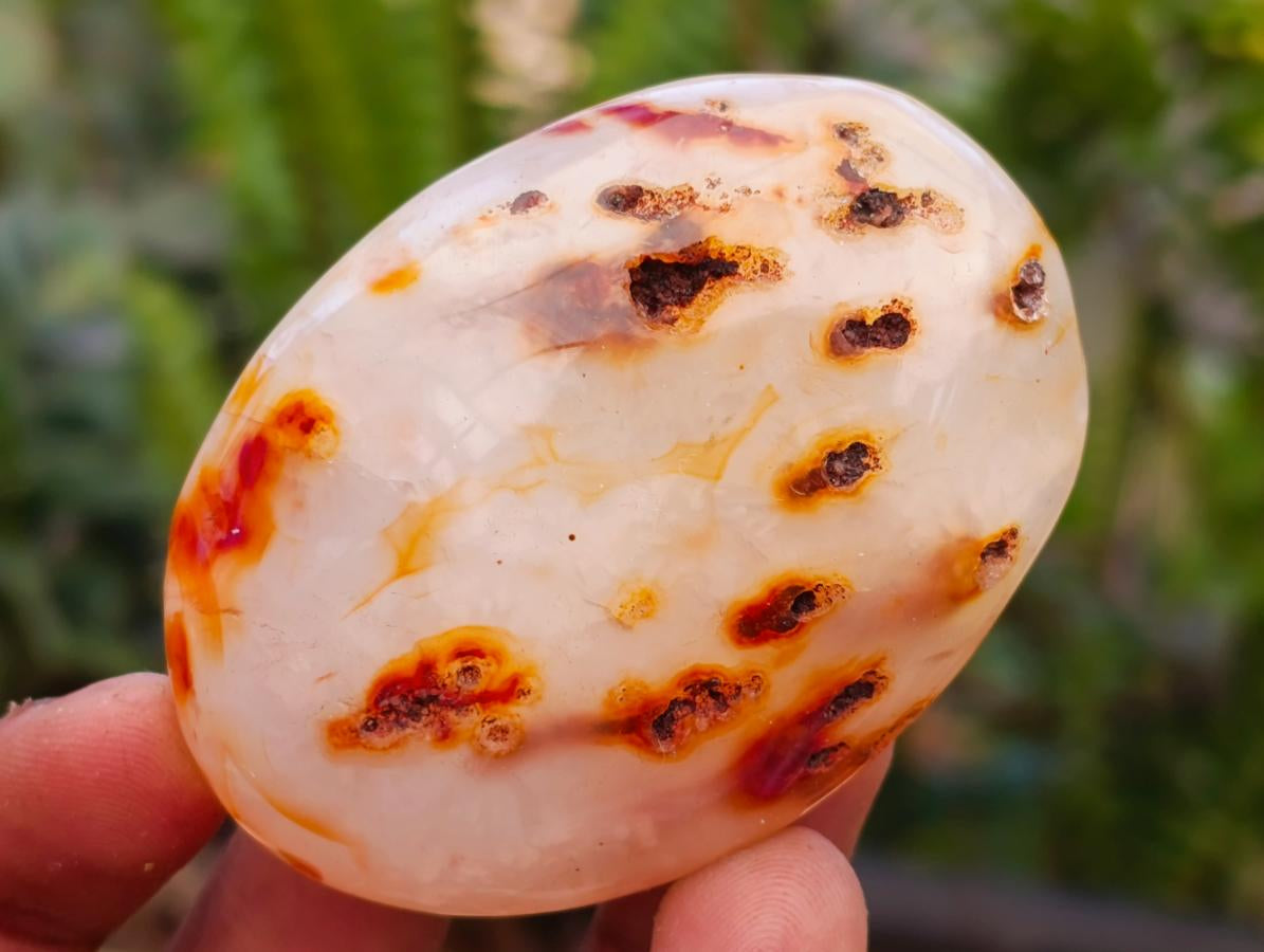Polished Carnelian Agate Gemstone Palmstones x 12 From Madagascar - Toprock Gemstones and Minerals 