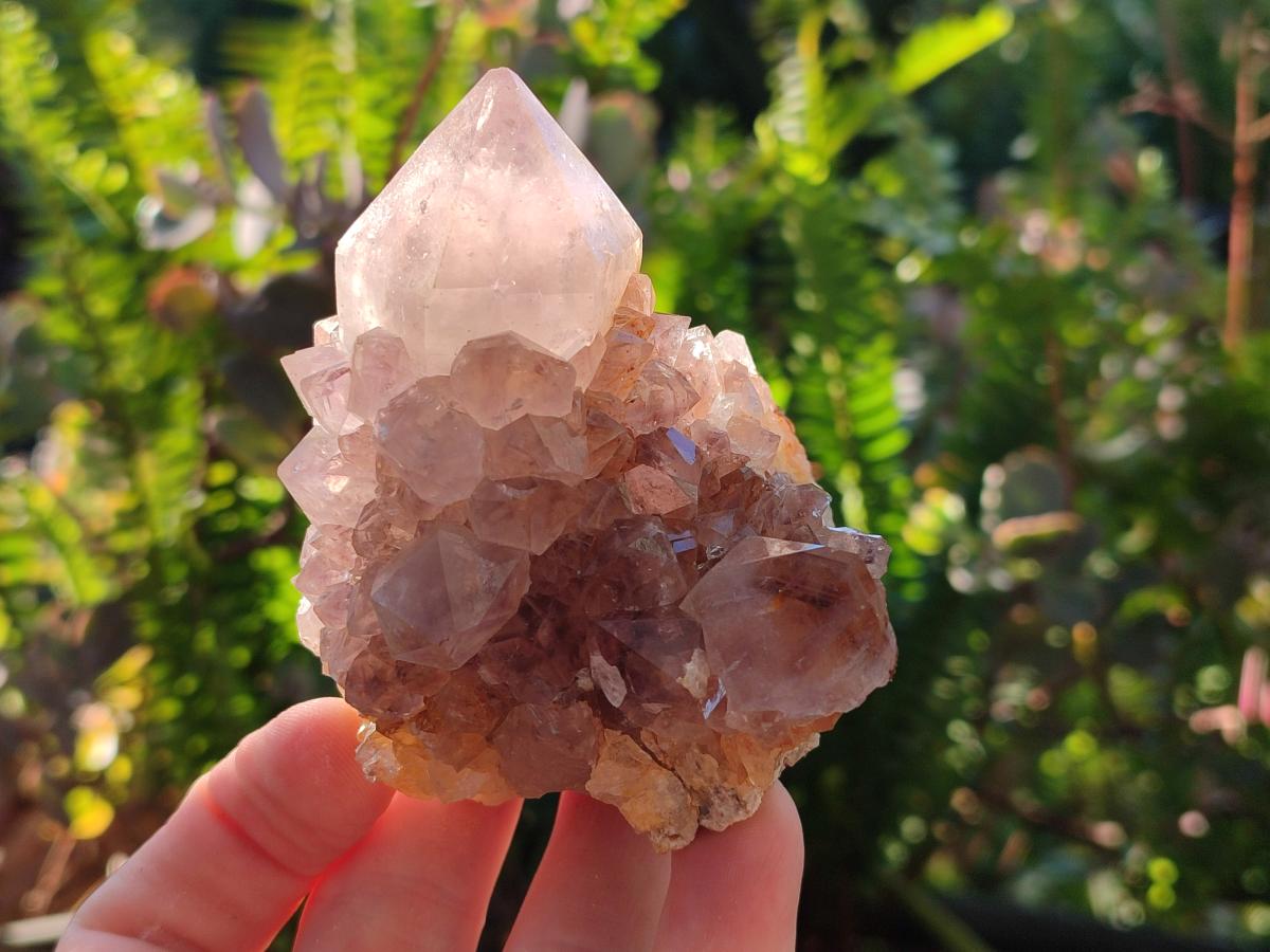 Natural Smokey Ametrine Spirit Clusters x 6 From Boekenhouthoek, South Africa - Toprock Gemstones and Minerals 