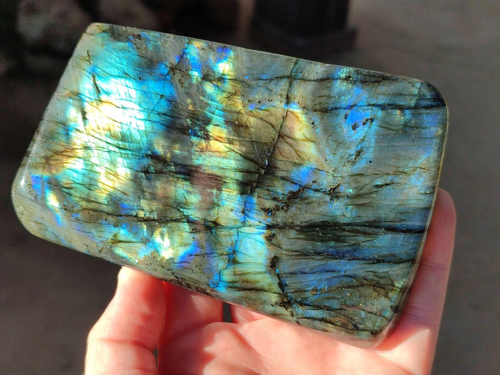 Polished Labradorite Standing Free Forms x 2 From Madagascar - Toprock Gemstones and Minerals 