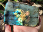 Polished Labradorite Standing Free Forms x 2 From Madagascar - Toprock Gemstones and Minerals 
