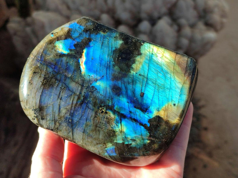 Polished Labradorite Standing Free Forms x 2 From Madagascar - Toprock Gemstones and Minerals 