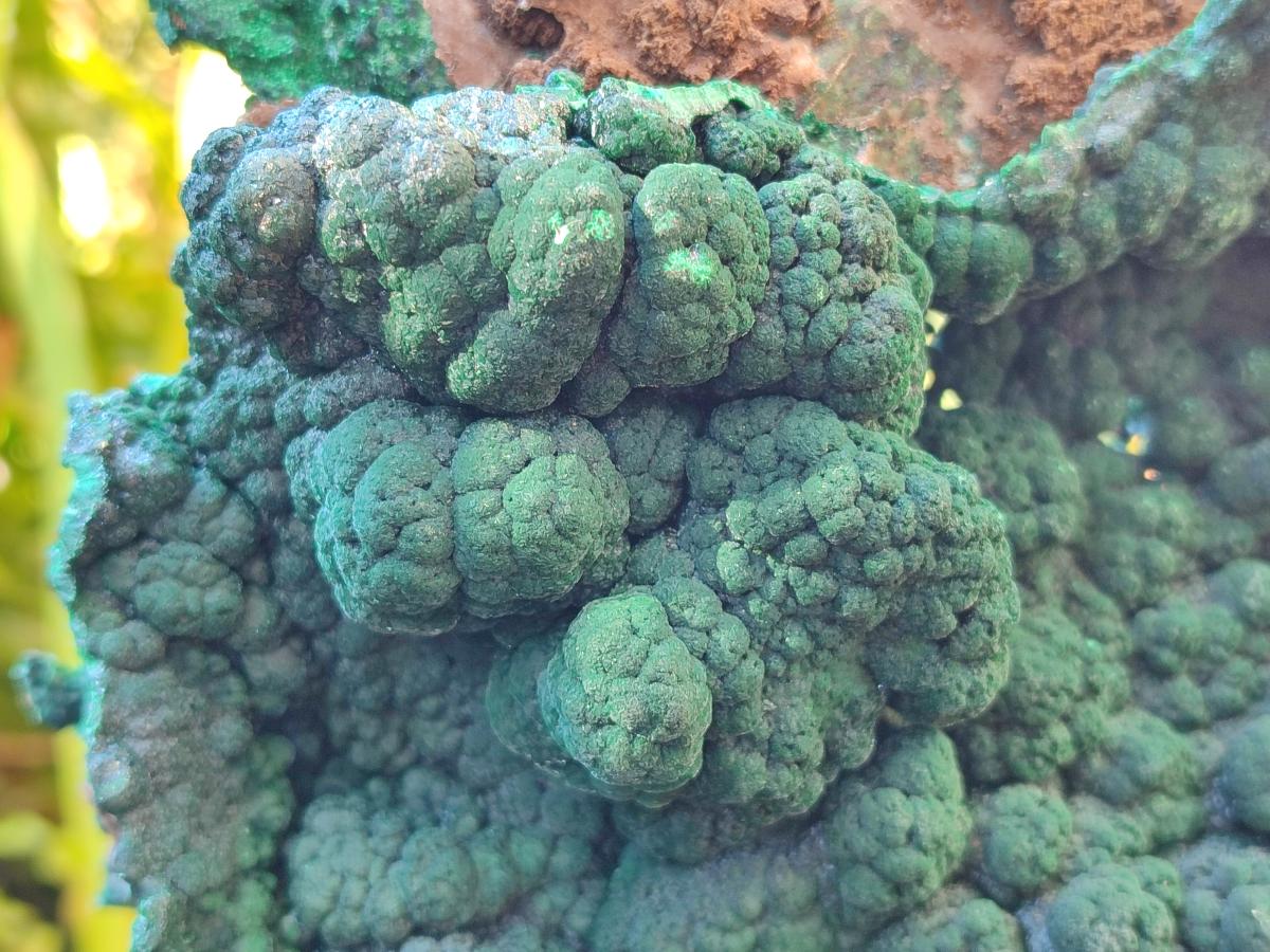 Natural Large Botryoidal Malachite Specimen x 1 From Congo - Toprock Gemstones and Minerals 