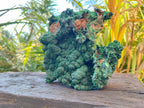 Natural Large Botryoidal Malachite Specimen x 1 From Congo - Toprock Gemstones and Minerals 
