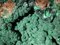Natural Large Botryoidal Malachite Specimen x 1 From Congo - Toprock Gemstones and Minerals 