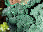 Natural Large Botryoidal Malachite Specimen x 1 From Congo - Toprock Gemstones and Minerals 
