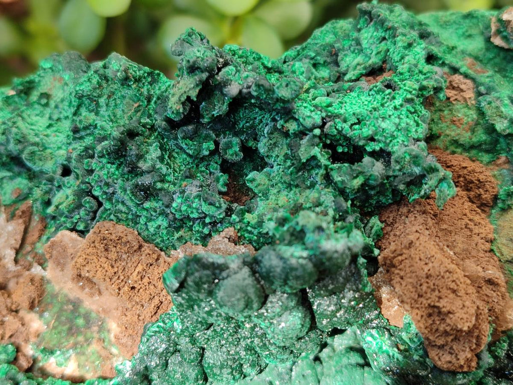 Natural Large Botryoidal Malachite Specimen x 1 From Congo - Toprock Gemstones and Minerals 