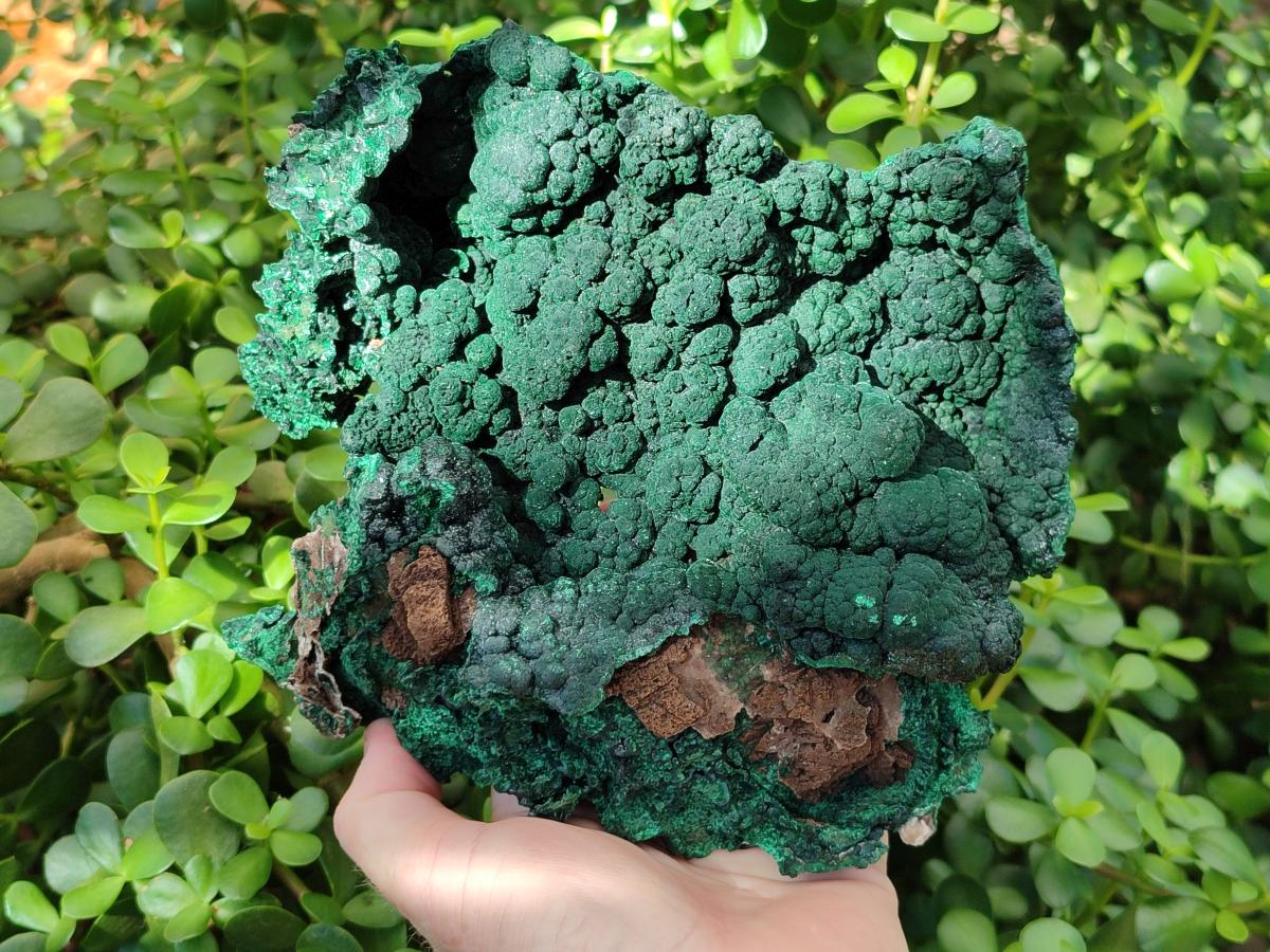 Natural Large Botryoidal Malachite Specimen x 1 From Congo - Toprock Gemstones and Minerals 