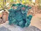 Natural Large Botryoidal Malachite Specimen x 1 From Congo - Toprock Gemstones and Minerals 