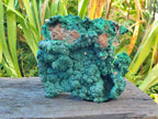 Natural Large Botryoidal Malachite Specimen x 1 From Congo - Toprock Gemstones and Minerals 
