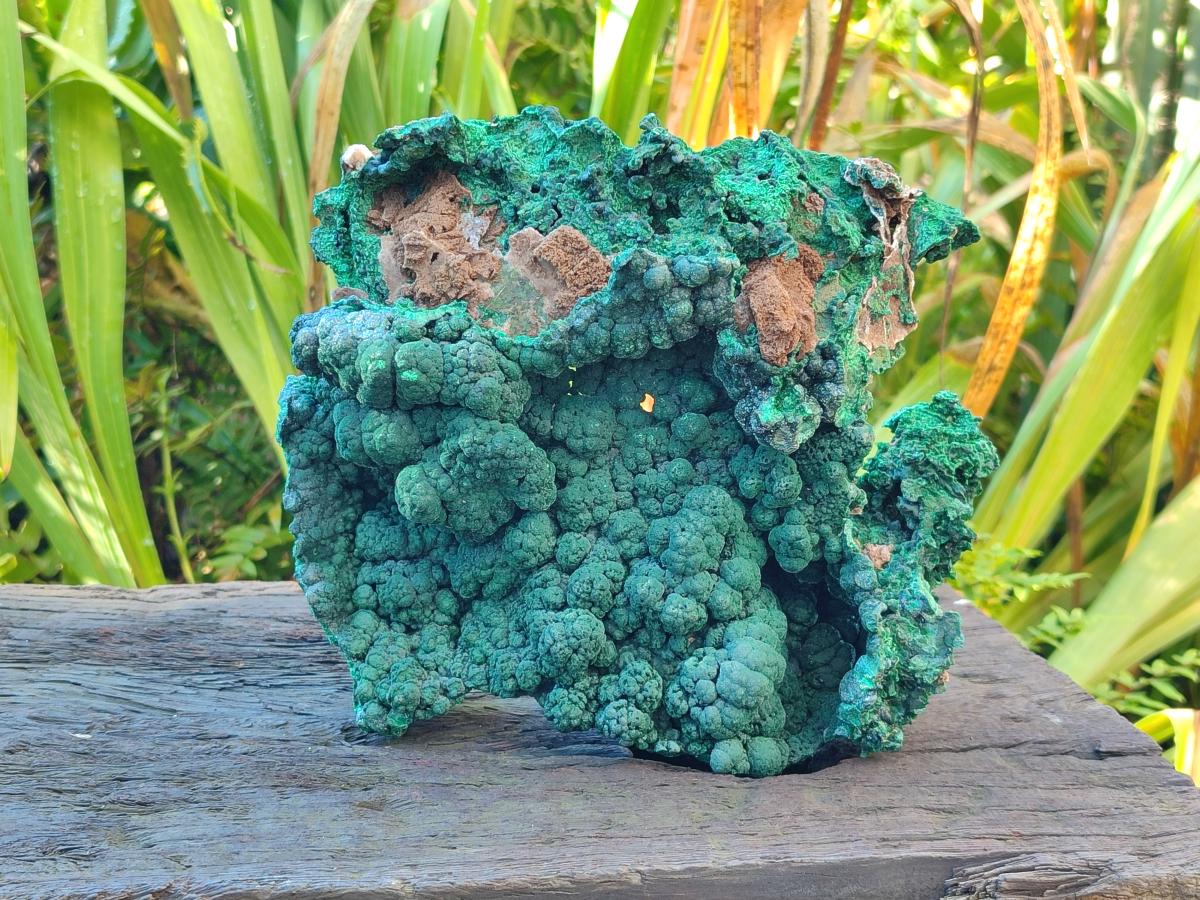 Natural Large Botryoidal Malachite Specimen x 1 From Congo - Toprock Gemstones and Minerals 