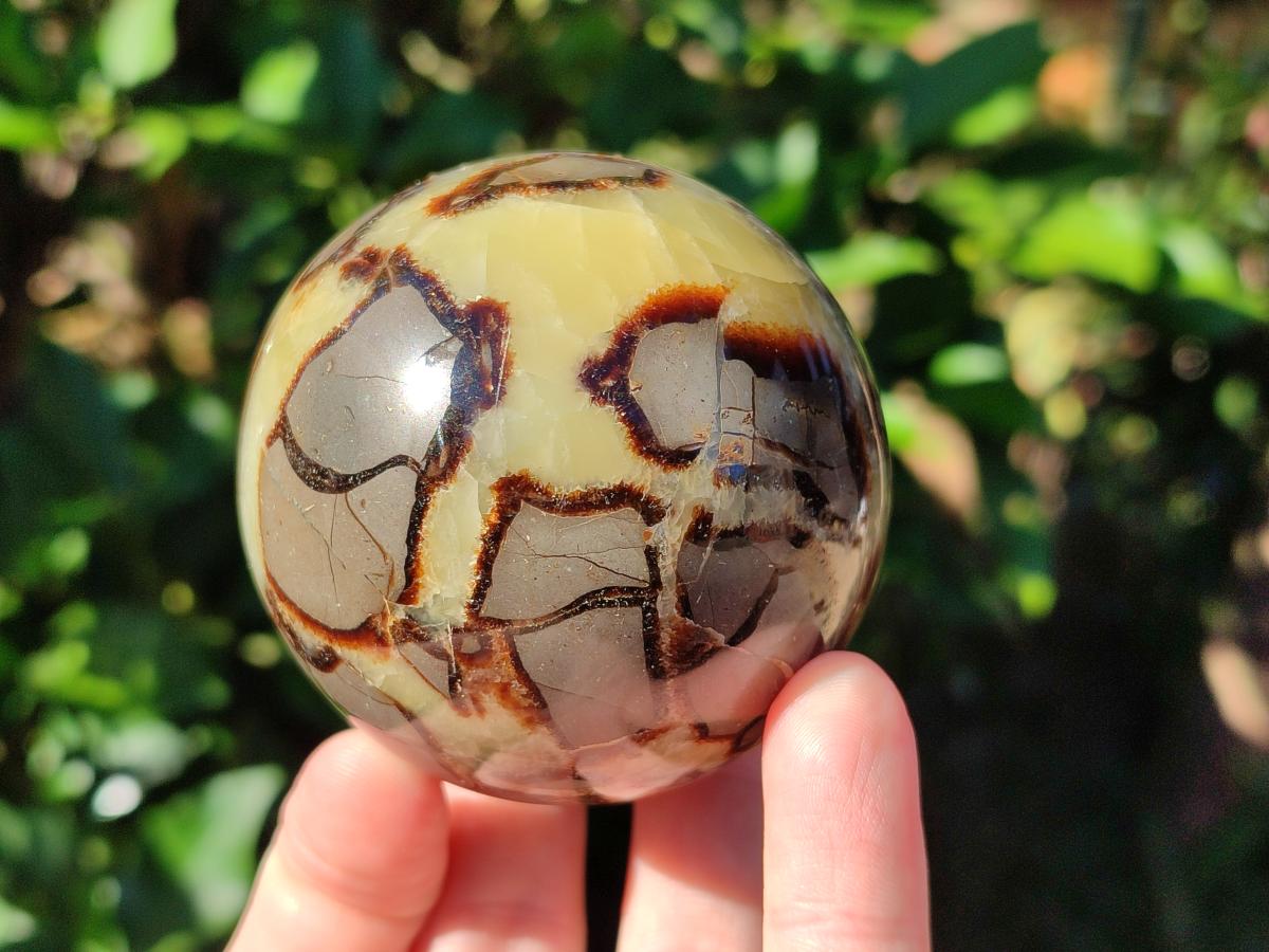 Polished Septerye Spheres x 5 From Mahajanga, Madagascar - Toprock Gemstones and Minerals 